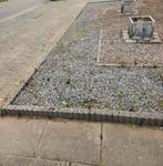 Grind( Gratis ), Tuin en Terras, Ophalen, Gebruikt, Overige materialen