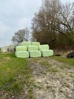 Te koop mooie  krone kuilpakken, Dieren en Toebehoren, Stalling en Weidegang, Weidegang, 4 paarden of pony's of meer