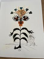 Liitho van Salvador Dali, Antiek en Kunst, Ophalen of Verzenden