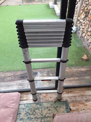 Telesteps Telescoopladder - Compact en Handig! beschikbaar voor biedingen