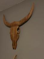 Houten Schedel Wanddecoratie - Industrieel/Natuurlijk, Ophalen of Verzenden, Zo goed als nieuw