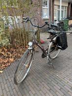 Damesfiets Batavus 48cm - Opknapper, Fietsen en Brommers, Fietsen | Dames | Damesfietsen, Ophalen, Gebruikt, 47 tot 50 cm, Versnellingen