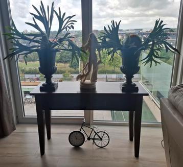 Sidetable  beschikbaar voor biedingen