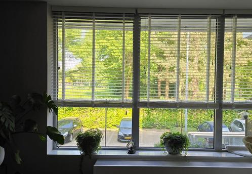Baseline houten jaloezie - wit, Huis en Inrichting, Stoffering | Gordijnen en Lamellen, Gebruikt, 150 tot 200 cm, 100 tot 150 cm