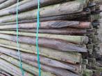 Gebruikte Boompalen, 250 cm gepunt. Gecreosoteerd, Ophalen, Gebruikt, 180 tot 250 cm, Palen