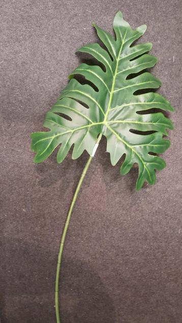 Kunst tak blad groen beschikbaar voor biedingen