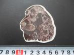 sticker Hond Hondenkop Engelse Cocker Spaniël *, Ophalen, Zo goed als nieuw