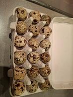 Kwarteleieren te koop, voor consumptie., Ophalen of Verzenden