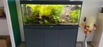 Aquarium compleet, Ophalen, Zo goed als nieuw, Gevuld zoetwateraquarium