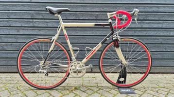 Koga-Miyata RoadRacer 1999 (framemaat 60) beschikbaar voor biedingen
