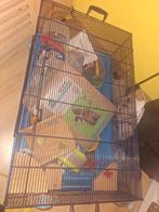 Grote cavia/hamsterkooi, Dieren en Toebehoren, Minder dan 60 cm, Kooi, Gebruikt, Ophalen of Verzenden