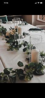 Slingers van eucliptusblad, Ophalen of Verzenden, Zo goed als nieuw