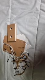 10 Kado Doosjes Bedankjes Bruiloft/Babyshower, Ophalen of Verzenden, Nieuw