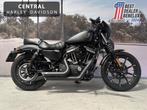 Harley-Davidson Sportster 883 IRON 38KW, Motoren, Bedrijf, 883 cc, Meer dan 35 kW, Overig