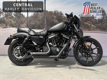 Harley-Davidson Sportster 883 IRON 38KW beschikbaar voor biedingen