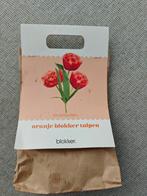 tulpen bloembollen gratis af te halen, Ophalen, Voorjaar, Volle zon