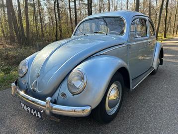 Volkswagen Kever 1200 uit 1955 beschikbaar voor biedingen