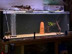 1,50 aquarium met Fluval FX4, Ophalen, Zo goed als nieuw, Leeg aquarium