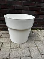 Witte elho verrijdbare pot, potmaat 35cm, 25 tot 40 cm, Kunststof, Rond, Binnen