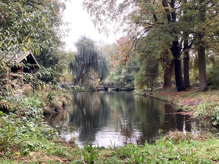 Te koop gevraagd: Een mooie kavel in Nederland, Huizen en Kamers, Kavels en Percelen, 200 tot 500 m², Verkoop zonder makelaar