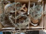 3 antieke tinsel kerstslingertjes, Diversen, Kerst, Ophalen of Verzenden