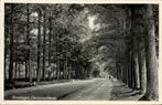 Amerongen - Leersumscheweg, Ophalen of Verzenden, Voor 1920, Gelopen, Utrecht