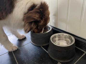 Landelijke stoere Voerderbak - of drinkbak - Kat/Hond- beschikbaar voor biedingen