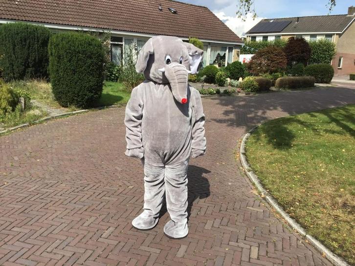 Mascottes Olly & Dolly de Olifanten, Hobby en Vrije tijd, Feestartikelen | Verhuur, Zo goed als nieuw, Verjaardag, Ophalen of Verzenden