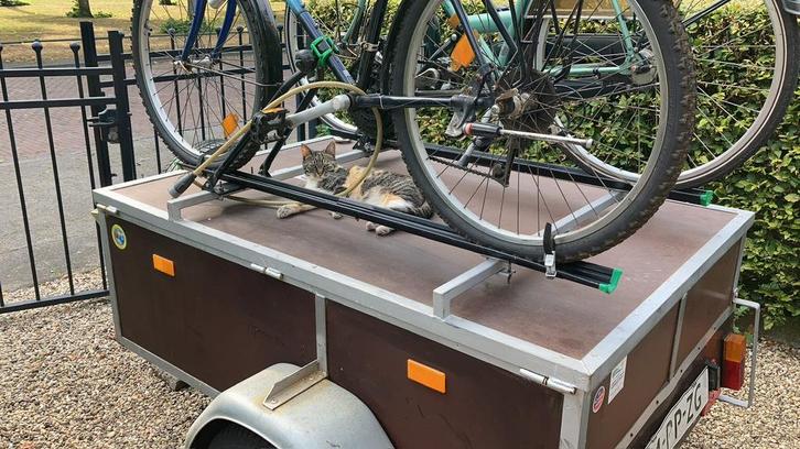 Campeer Bagage aanhanger, Auto diversen, Aanhangers en Bagagewagens, Gebruikt, Ophalen