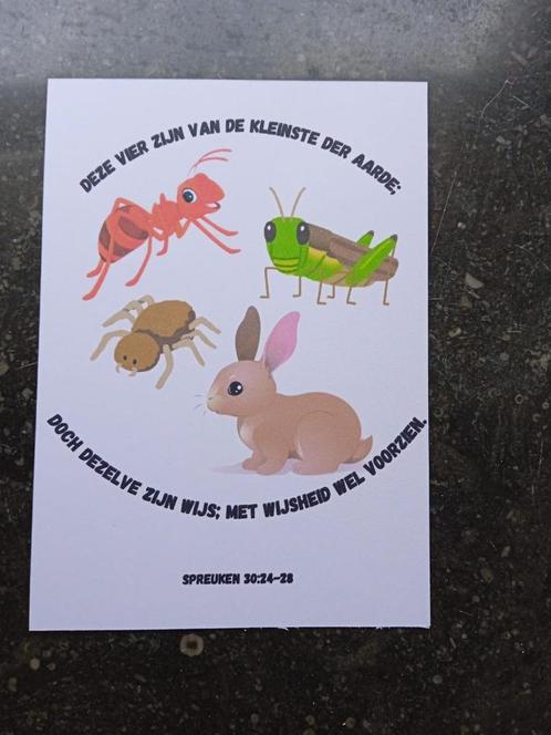 Wenskaart dieren in het veld, Diversen, Wenskaarten, Nieuw, Ophalen of Verzenden