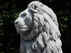 Set Leeuwen XXL - 135 cm - Wit, Ophalen of Verzenden, Nieuw, Steen, Dierenbeeld