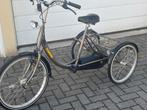Driewieler volwassenen Sunny Diamond nu €250,00 !, Gebruikt, Ophalen of Verzenden, Sunny, Nederland
