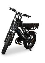 Fatbike V20, Fietsen en Brommers, Elektrische fietsen, 59 cm of meer, Ophalen, Zo goed als nieuw, Overige merken