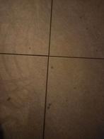 GEZOCHT(2 gratis tuintegels 40cm x 60cm), Tuin en Terras, Tegels en Klinkers, Ophalen, Gebruikt, Beton, Terrastegels