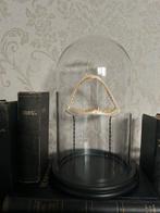 24 karaat vergulde zeeduivelkaak in stolp taxidermie, Ophalen of Verzenden, Nieuw, Overige soorten, Schedel