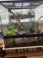 Pracht Paludarium, Ophalen, Zo goed als nieuw, Terrarium of Paludarium