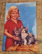 Meisje met 3 poezen, Verzenden, Gelopen, Hond of Kat
