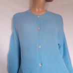 FTC CASHMERE Vest , Maat 42, Kleding | Dames, Truien en Vesten, Verzenden, Zo goed als nieuw, Maat 42/44 (L), Blauw