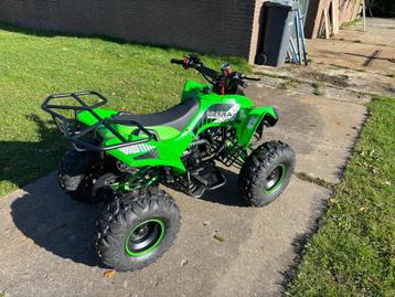 quad 125 cc nieuw beschikbaar voor biedingen