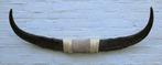 Texas style BULLBAR- 96 cm - waterbuffel hoorns (ref. i2), Ophalen of Verzenden, Nieuw, Boerderijdier, Overige typen