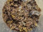 Propolis zo uit de bijenkast, Bijen