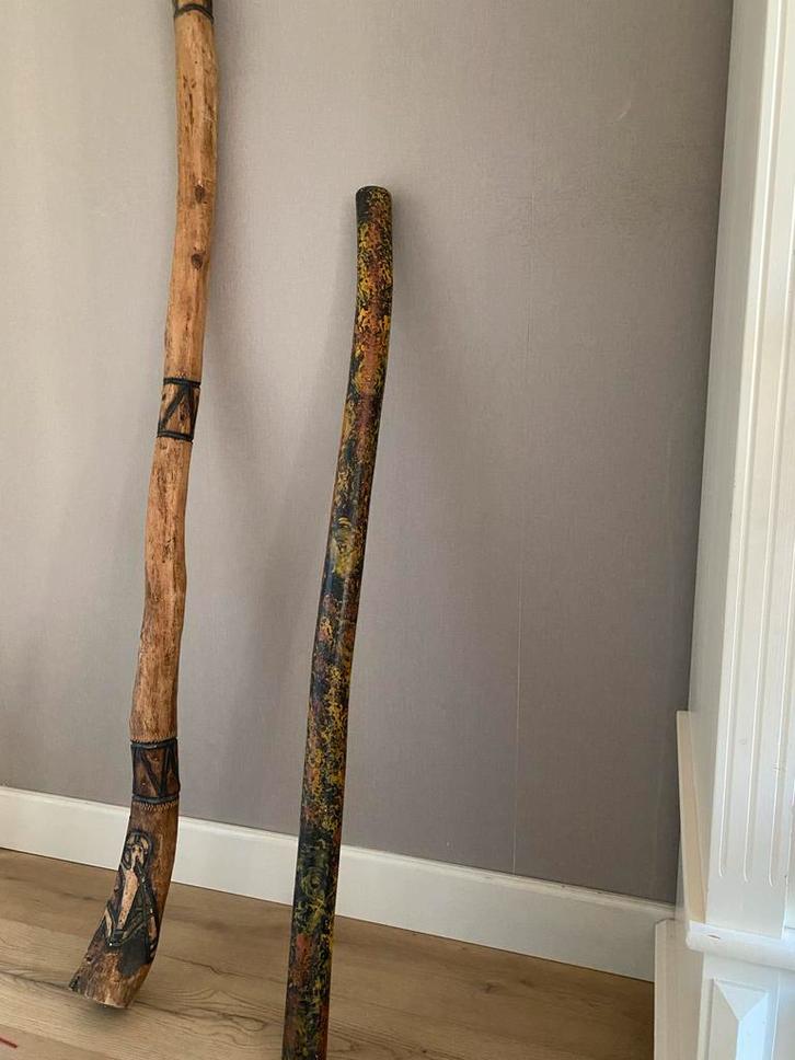 Twee Didgeridoos - Houtsnijwerk & Beschilderd, Muziek en Instrumenten, Blaasinstrumenten | Didgeridoos, Gebruikt, Ophalen