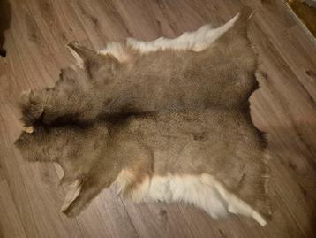 Hertenhuid, hertenvacht, hertenvel, vloerkleed beschikbaar voor biedingen