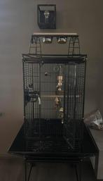 Vogelkooi te koop, Dieren en Toebehoren, Vogels | Hokken en Kooien, Ophalen, Zo goed als nieuw, Hout, Vogelkooi