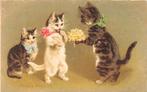 Drie Kittens Illustratie Helena Maguire 1917, Verzamelen, Ansichtkaarten | Dieren, Ongelopen, Ophalen of Verzenden, Voor 1920