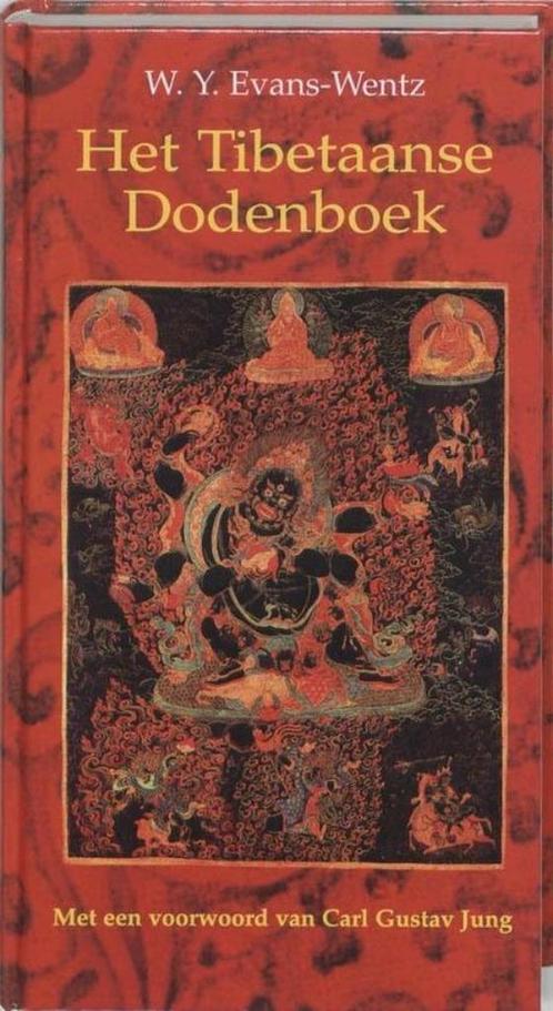 het Tibetaanse dodenboek, Boeken, Esoterie en Spiritualiteit, Zo goed als nieuw, Achtergrond en Informatie, Ophalen of Verzenden
