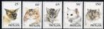 Nederlandse antillen nvph nr. 1102/1106 Postfris katten 1995, Postzegels en Munten, Postzegels | Nederlandse Antillen en Aruba