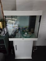 Juwel Lido 200 inclusief kast ., Dieren en Toebehoren, Vissen | Aquaria en Toebehoren, Ophalen, Gebruikt, Leeg aquarium