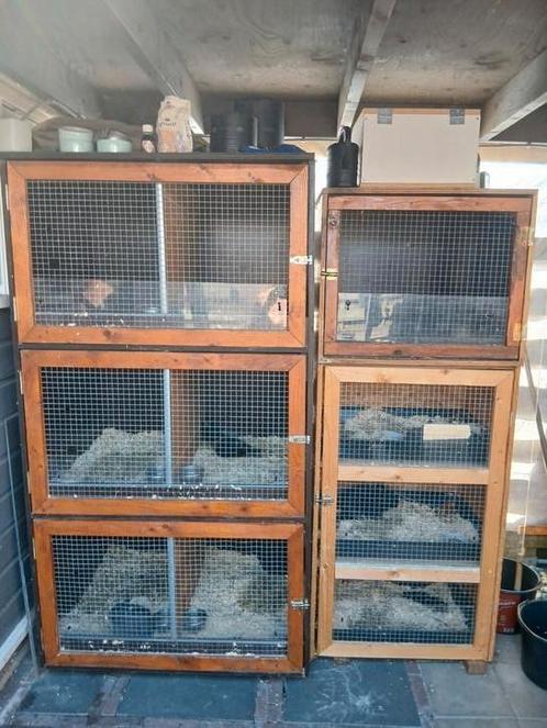 Konijnenflat, Dieren en Toebehoren, Knaagdieren en Konijnen | Hokken en Kooien, Zo goed als nieuw, Hok, 90 cm of meer, 110 cm of meer
