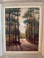 W.C. de Groot - park, Antiek en Kunst, Kunst | Schilderijen | Klassiek, Ophalen of Verzenden